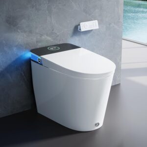 Image 1 of HOROW smart toilet review
