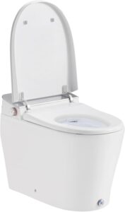 Image 1 of OVE Decors Clarke smart bidet toilet review