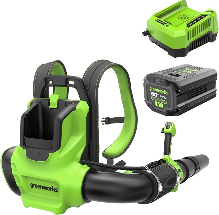Image 1 of Greenworks 80V backpack blower review