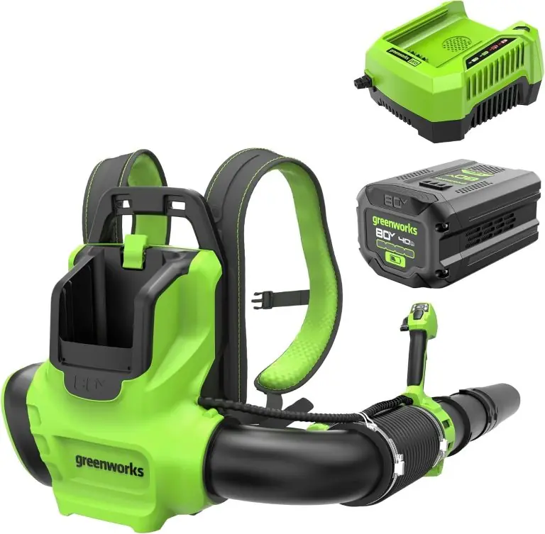 Image 1 of Greenworks 80V backpack blower review