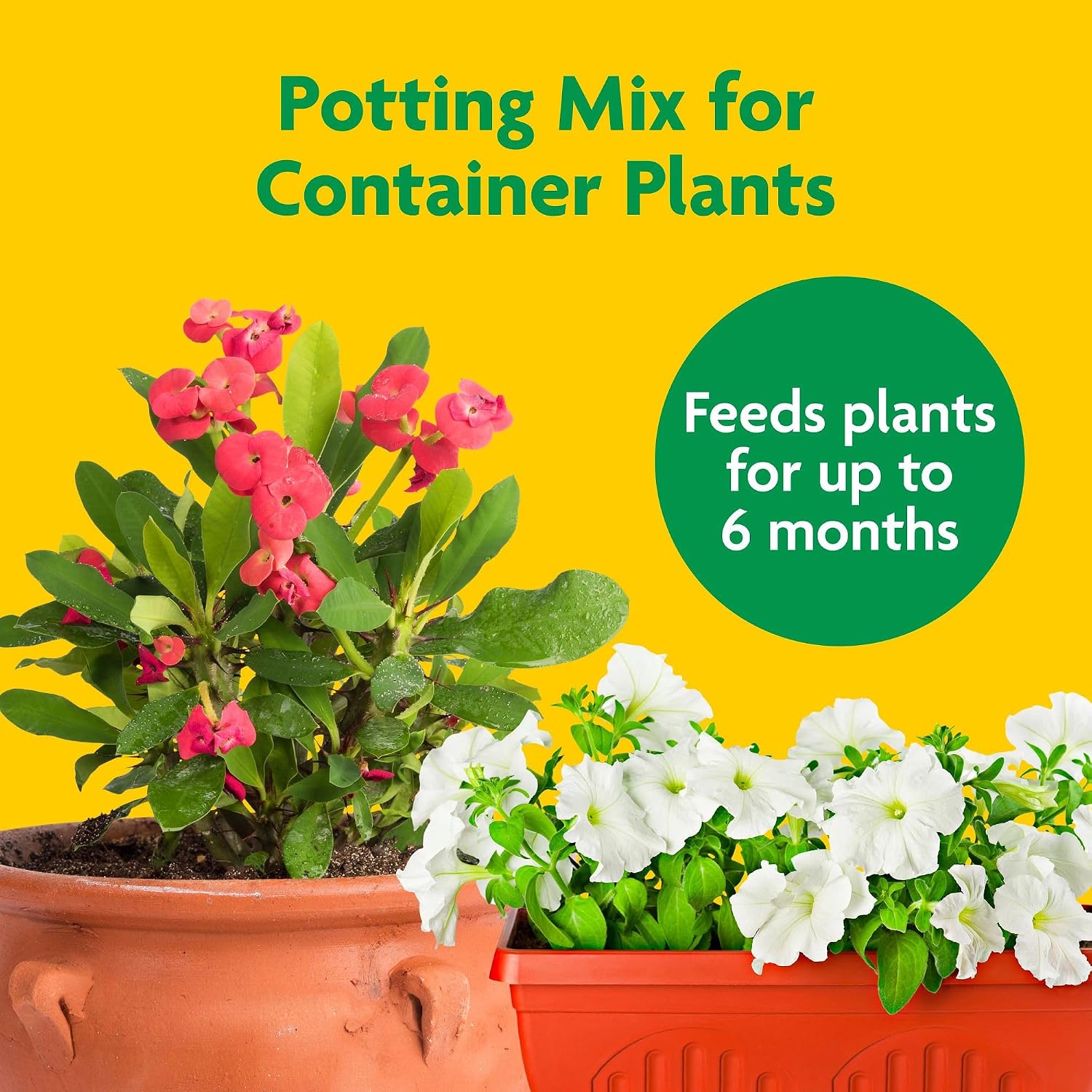 Miracle-Gro Potting Mix review,Miracle-Gro Potting Mix review and rating,is Miracle-Gro Potting Mix worth buying,Miracle-Gro Potting Mix review pros cons,Miracle-Gro Potting Mix review honest opinion,Miracle-Gro Potting Mix review verdict setup and first use experience
